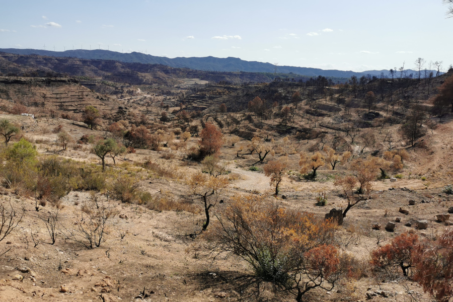 incendi Ebre