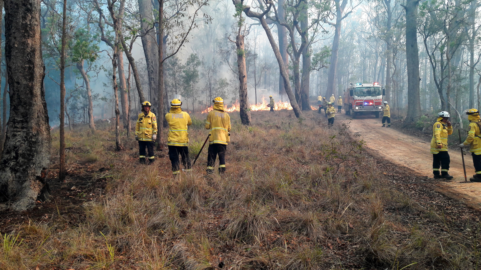 Bombers australians creant un tallafocs el passat desembre Foto: Blair Webster (CC BY-SA 2.0)