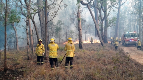 Bombers australians creant un tallafocs el passat desembre Foto: Blair Webster (CC BY-SA 2.0)