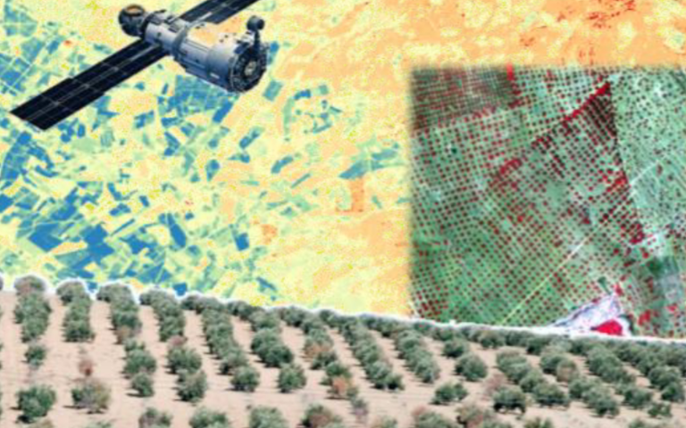 III Jornades Científic-Tècniques de Teledetecció i Agricultura de Precisió
