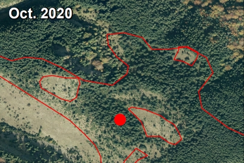 recerca pirineus2