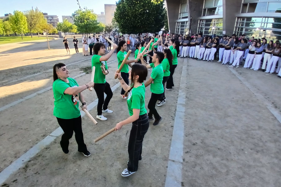 Festamajorestud25D
