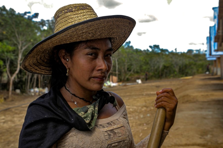 Exposició: La paz es el camino