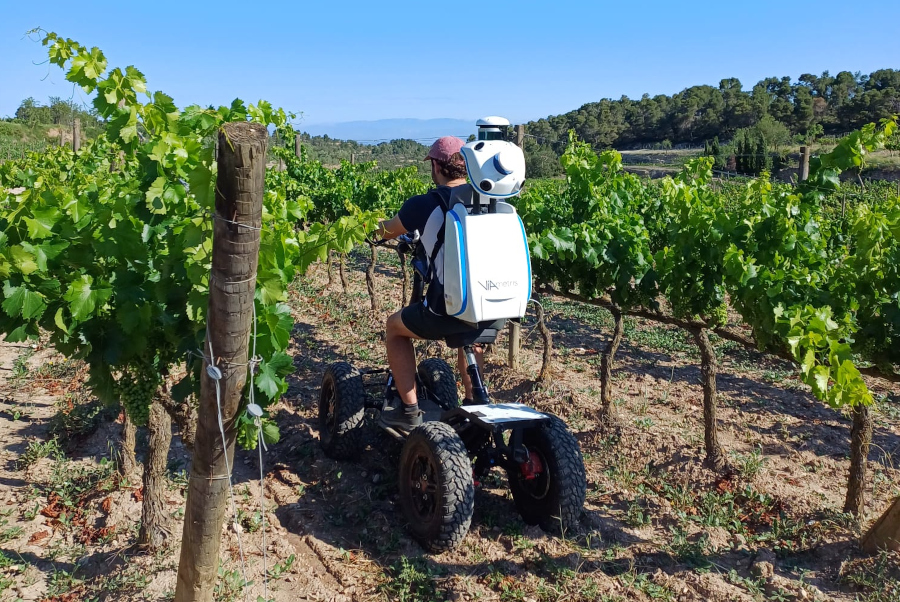 Lidar males herbes