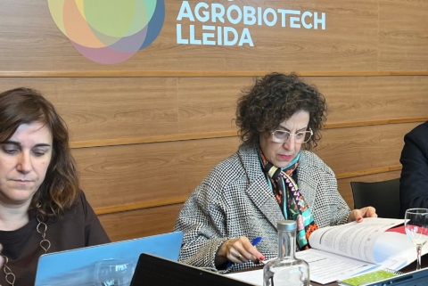 consell pcital des25