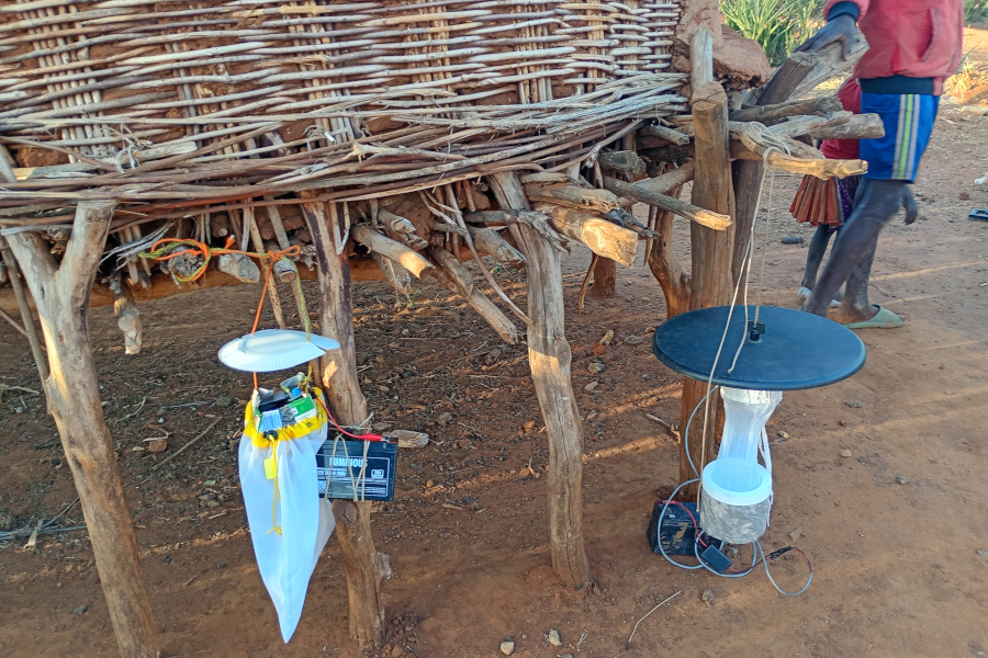 cooperació leishmaniosi26_trampes