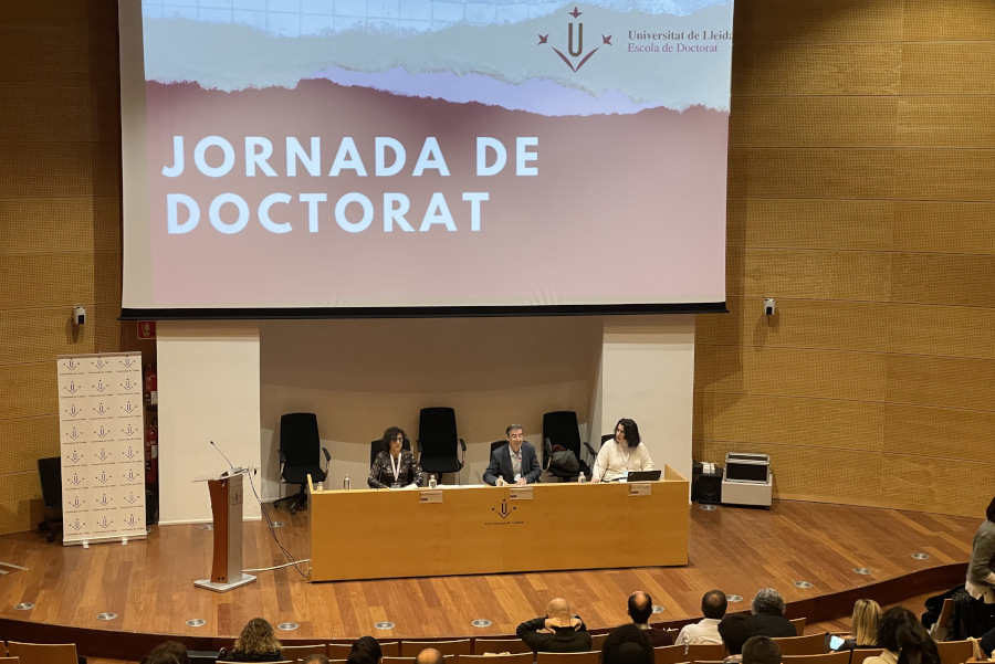 doctorat