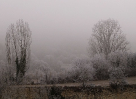 ferran turmo gort_Postals d'hivern (CC BY-NC-SA 2.0)