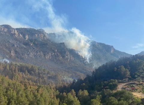 incendi resco
