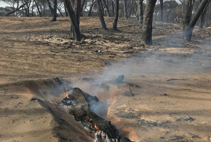 incendi_Paulo Fernandes