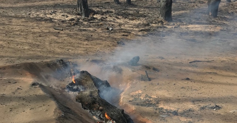 incendi_Paulo Fernandes_port