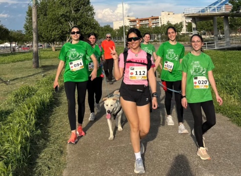 mascotes veterinaria