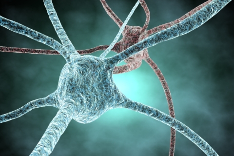 neurona_juliendn