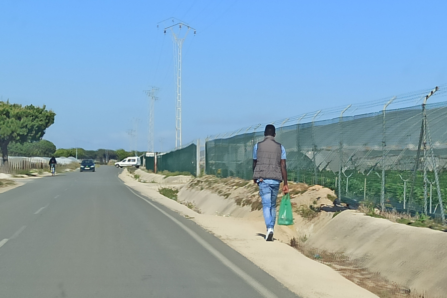 recerca_Ericabriones_v2