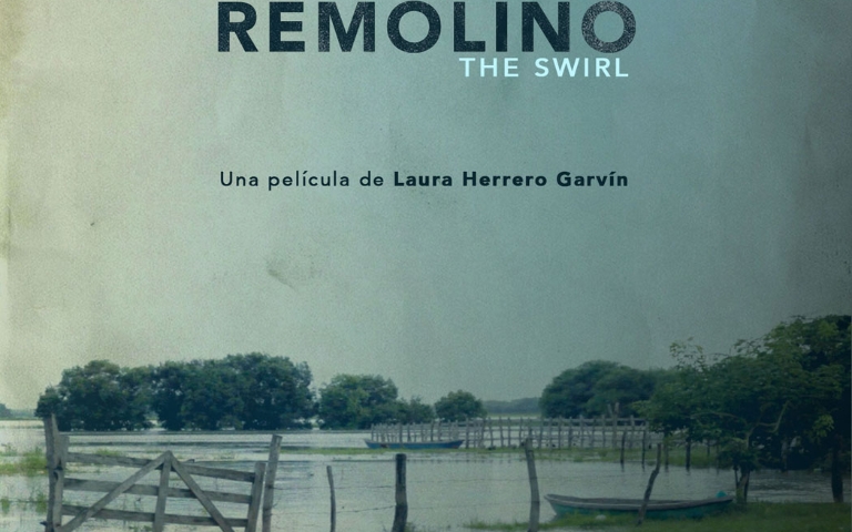 Projecció: El remolino